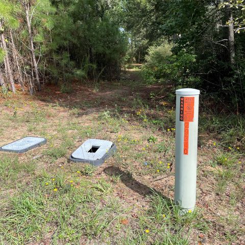 29340 Clydesdale Drive, Waller, TX 77484