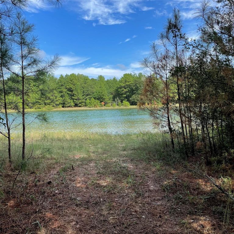 29340 Clydesdale Drive, Waller, TX 77484