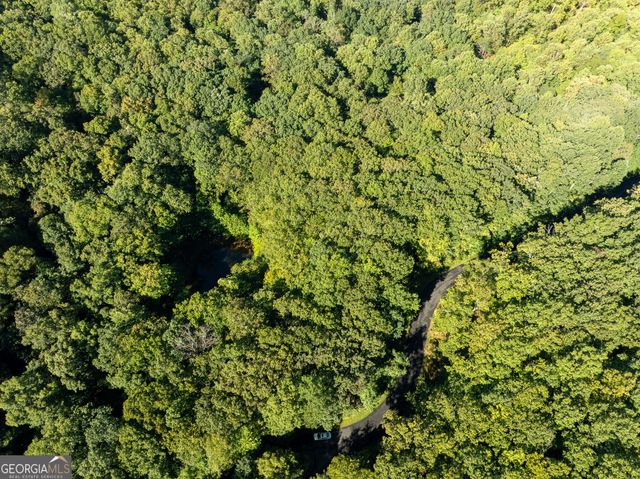 LOT 4 Wilderness Way, Ellijay, GA 30536