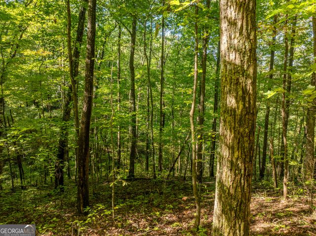 LOT 4 Wilderness Way, Ellijay, GA 30536