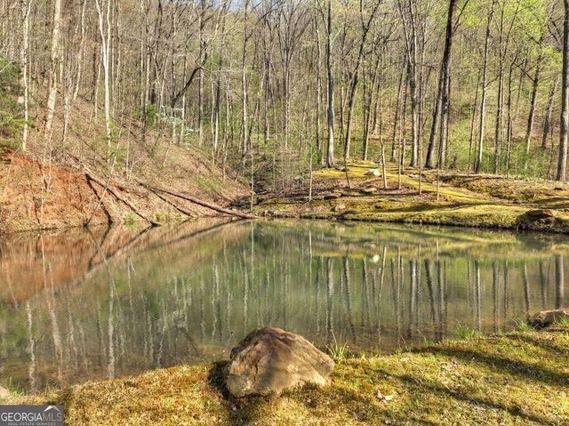 LOT 4 Wilderness Way, Ellijay, GA 30536