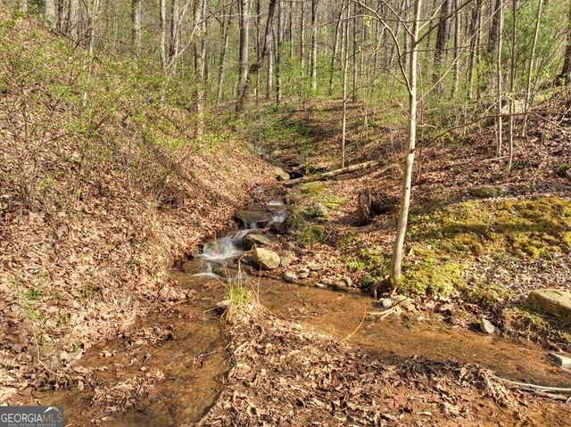 LOT 4 Wilderness Way, Ellijay, GA 30536
