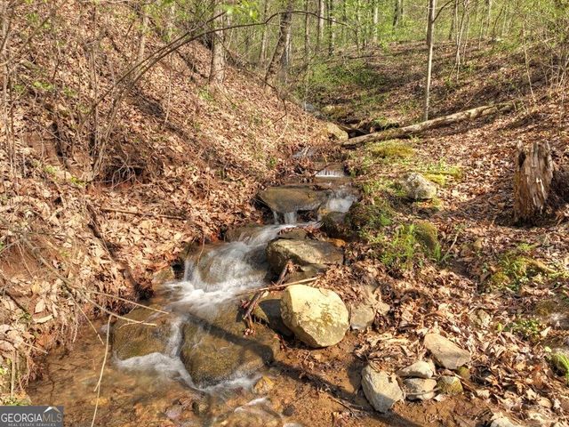 LOT 4 Wilderness Way, Ellijay, GA 30536