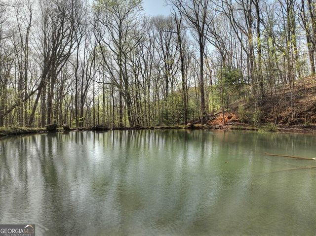 LOT 4 Wilderness Way, Ellijay, GA 30536