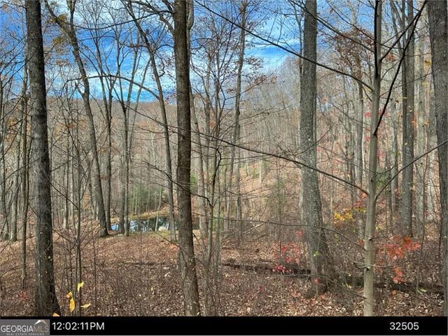 LOT 4 Wilderness Way, Ellijay, GA 30536
