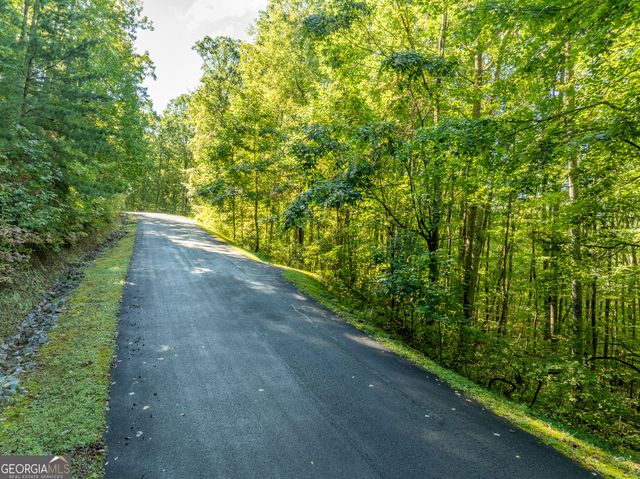 LOT 4 Wilderness Way, Ellijay, GA 30536