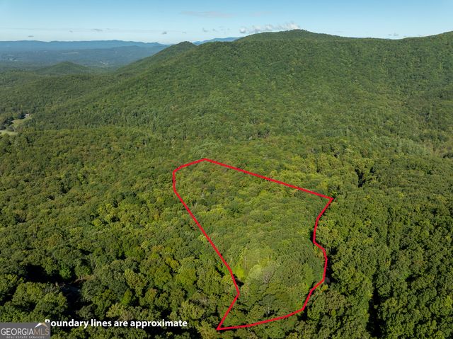 LOT 4 Wilderness Way, Ellijay, GA 30536