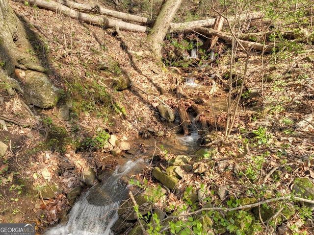 LOT 4 Wilderness Way, Ellijay, GA 30536