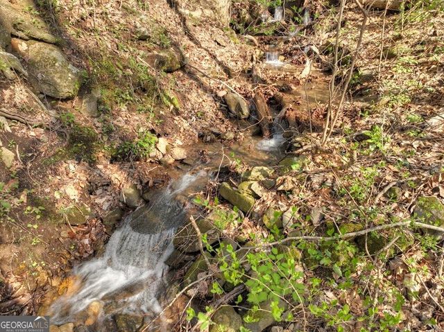 LOT 4 Wilderness Way, Ellijay, GA 30536