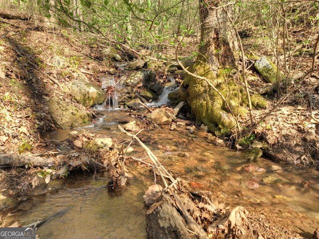 LOT 4 Wilderness Way, Ellijay, GA 30536