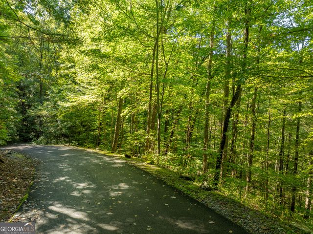 LOT 4 Wilderness Way, Ellijay, GA 30536