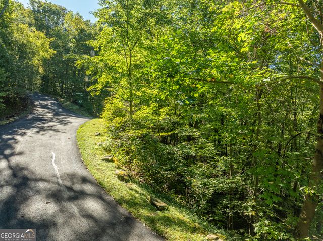LOT 4 Wilderness Way, Ellijay, GA 30536