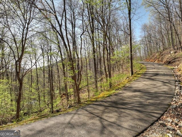 LOT 4 Wilderness Way, Ellijay, GA 30536