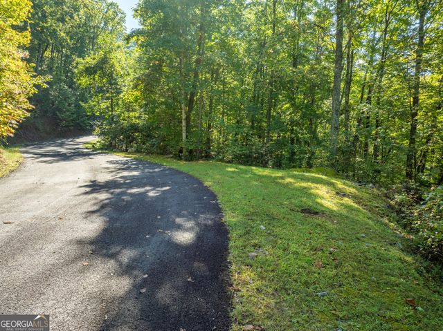 LOT 4 Wilderness Way, Ellijay, GA 30536