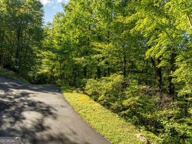 LOT 4 Wilderness Way, Ellijay, GA 30536