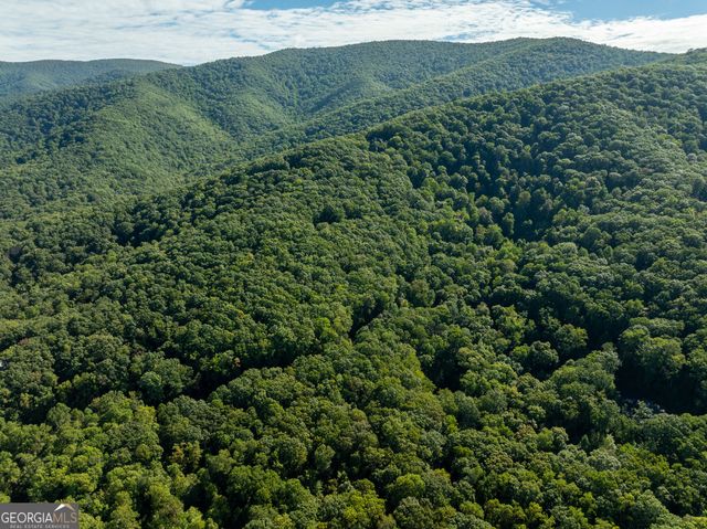 LOT 4 Wilderness Way, Ellijay, GA 30536