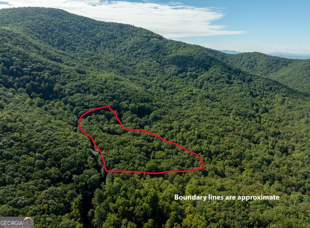 LOT 4 Wilderness Way, Ellijay, GA 30536