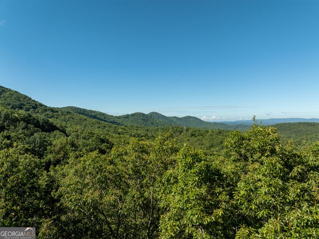 LOT 4 Wilderness Way, Ellijay, GA 30536