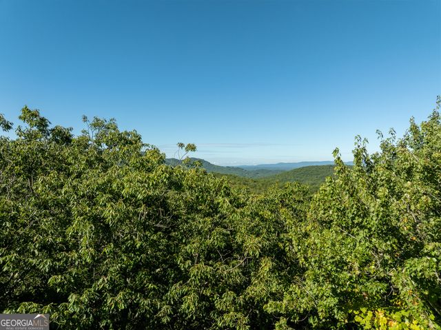 LOT 4 Wilderness Way, Ellijay, GA 30536