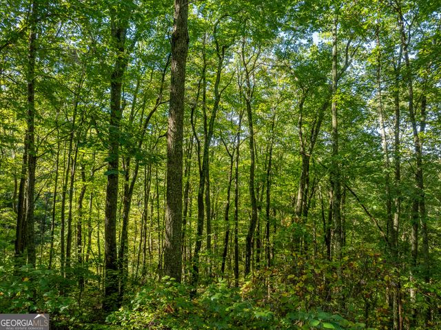 LOT 4 Wilderness Way, Ellijay, GA 30536