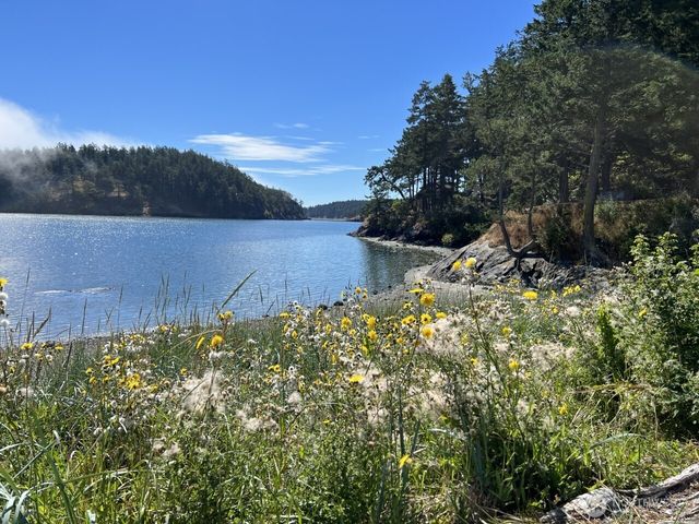 153 Chinook Way, Center Island, WA 98221