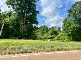 Lot 6 Hwy 24, Centreville, MS 39631