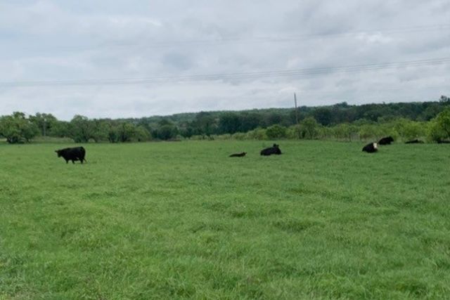 1521 FM 590, Comanche, TX 76442
