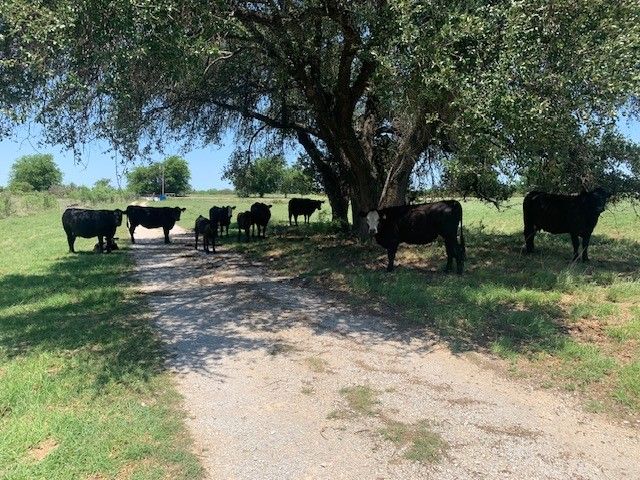1521 FM 590, Comanche, TX 76442