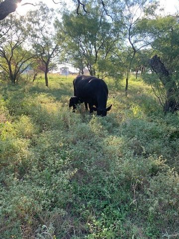 1521 FM 590, Comanche, TX 76442