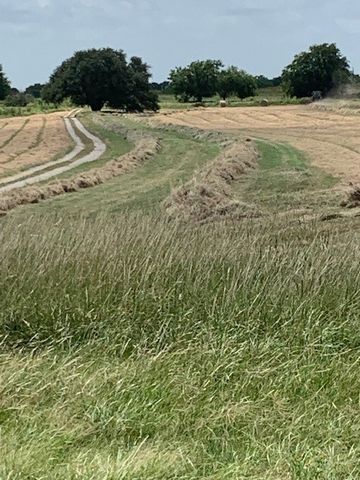 1521 FM 590, Comanche, TX 76442