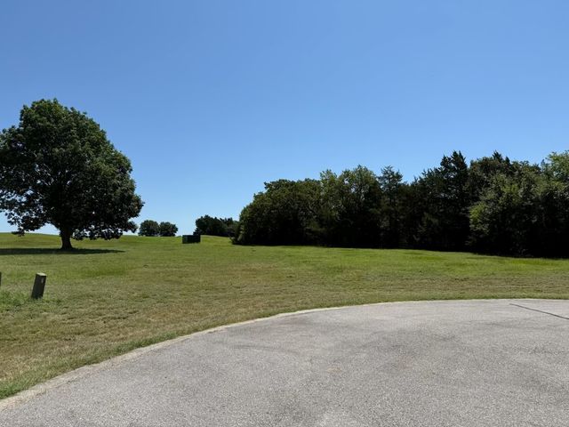 44 Dublin Court, Gordonville, TX 76245