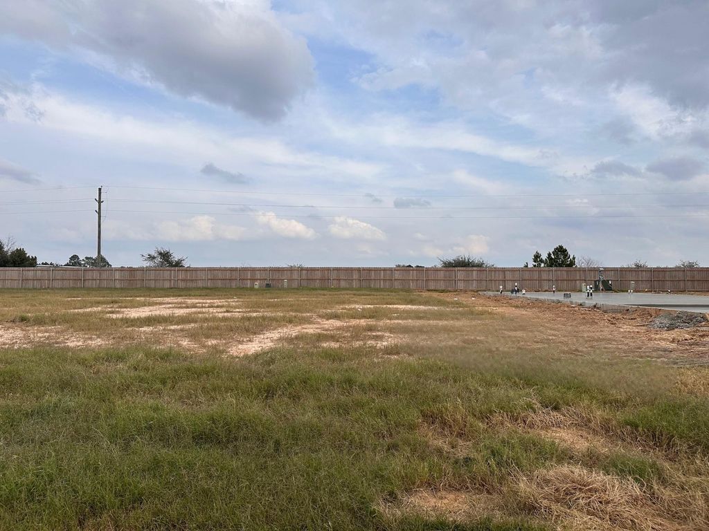 3910 Downy Birch Lane, Houston, TX 77084