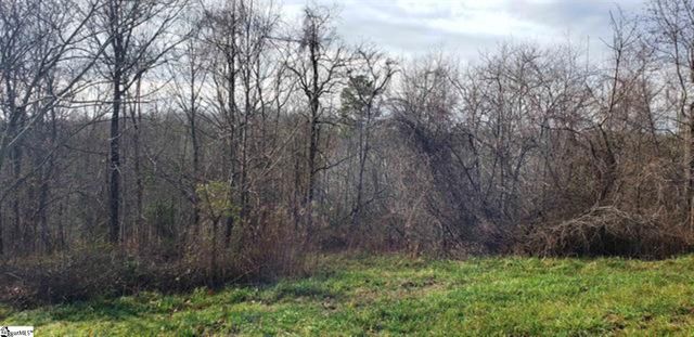 00 Lockhart Circle, Landrum, SC 29356