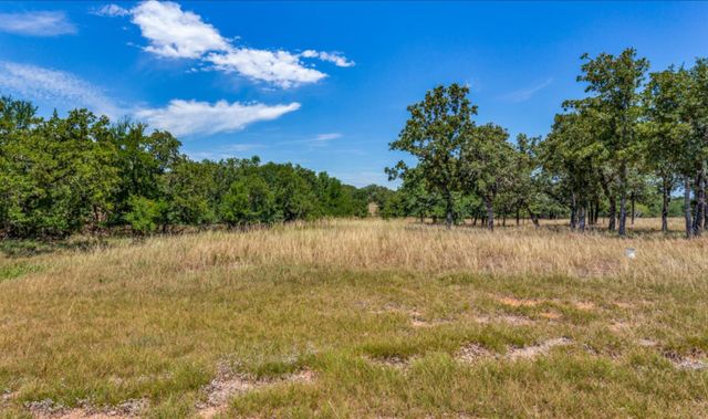 271 Creek Meadow Court, Lipan, TX 76462
