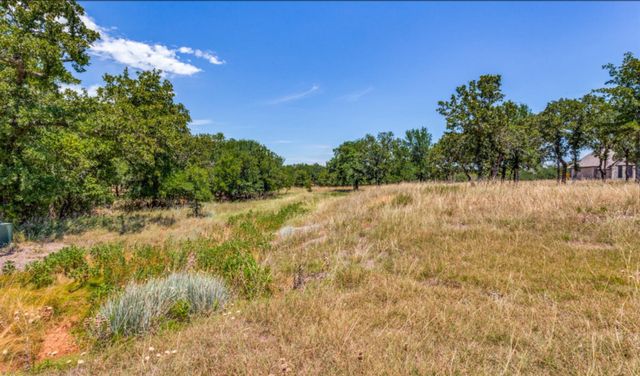 271 Creek Meadow Court, Lipan, TX 76462