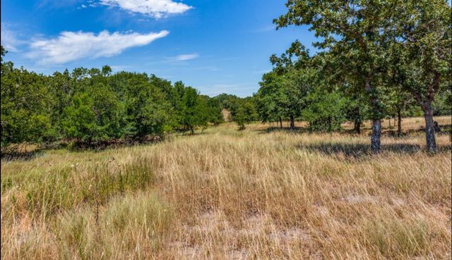 271 Creek Meadow Court, Lipan, TX 76462