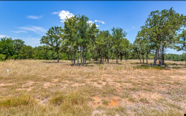 271 Creek Meadow Court, Lipan, TX 76462