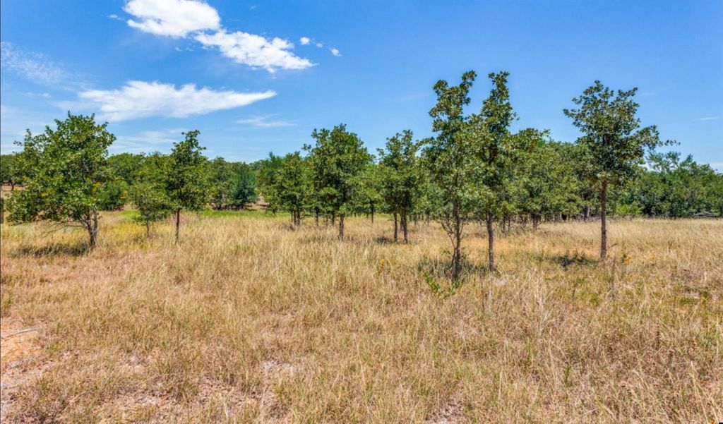 271 Creek Meadow Court, Lipan, TX 76462