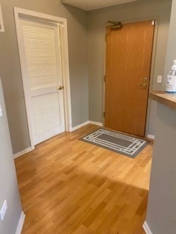 440 W Mahogany Court 312, Palatine, IL 60067