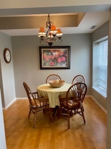 440 W Mahogany Court 312, Palatine, IL 60067