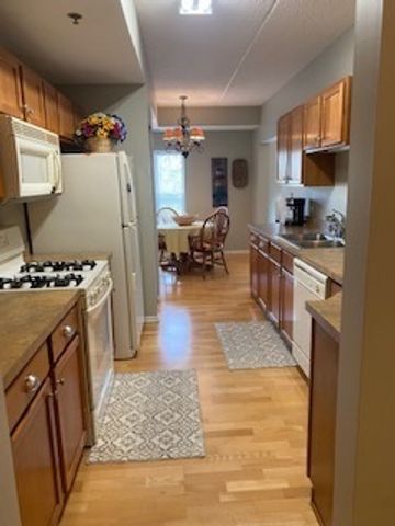 440 W Mahogany Court 312, Palatine, IL 60067