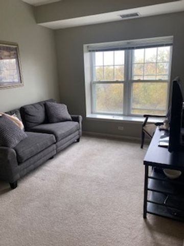 440 W Mahogany Court 312, Palatine, IL 60067