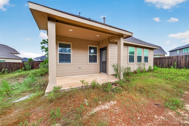 30359 Limber Pines Drive, Magnolia, TX 77355