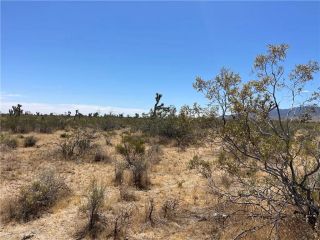 0 213th, Llano, CA 93544