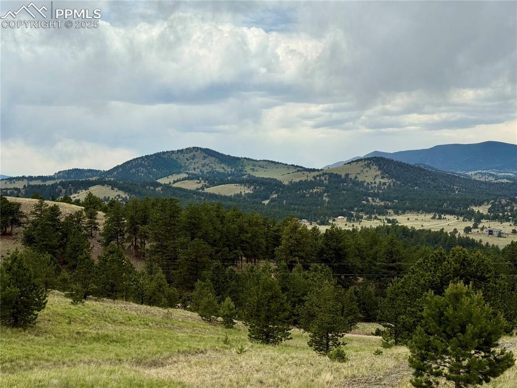 682 Nancy Ann Arroyo NA, Guffey, CO 80820 — exterior