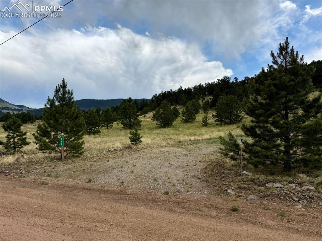 682 Nancy Ann Arroyo NA, Guffey, CO 80820 — photo 3