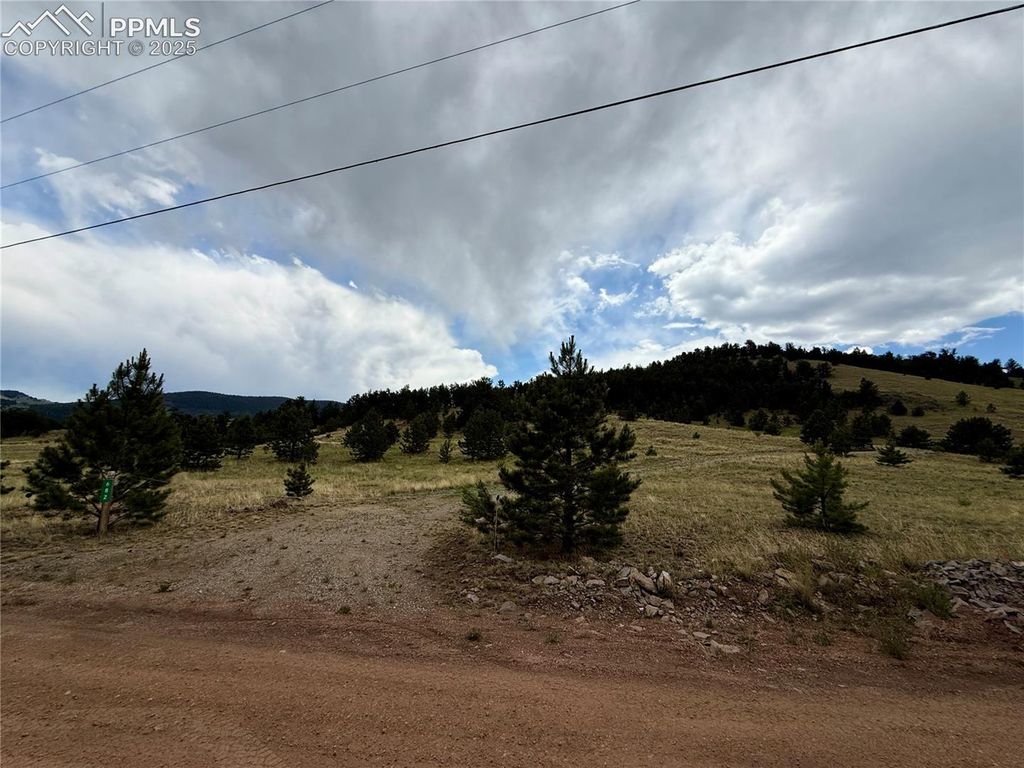 682 Nancy Ann Arroyo NA, Guffey, CO 80820 — photo 4