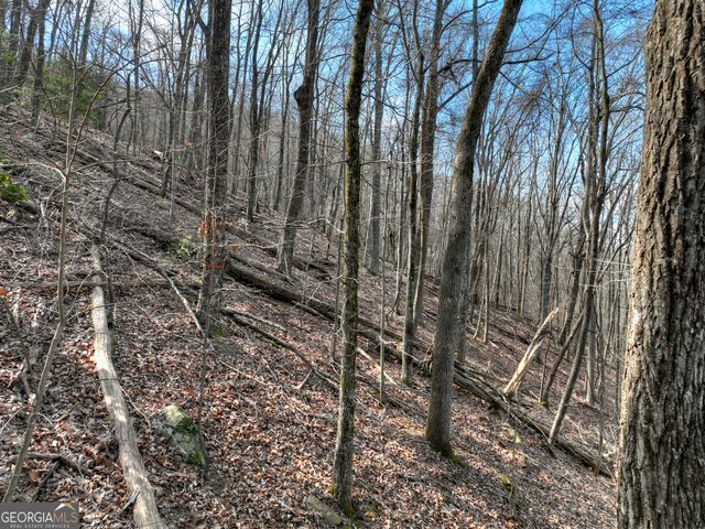 LTS 159,160 Hickory Trace, Ellijay, GA 30536