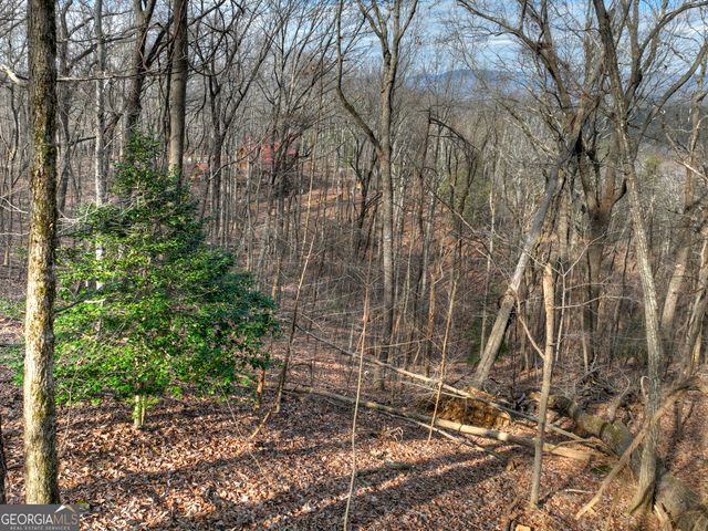 LTS 159,160 Hickory Trace, Ellijay, GA 30536