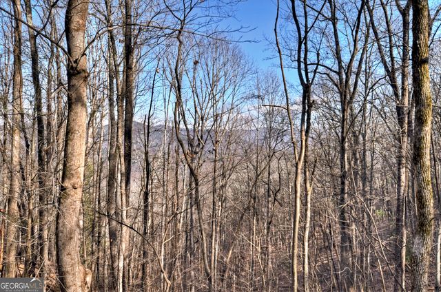 LTS 159,160 Hickory Trace, Ellijay, GA 30536